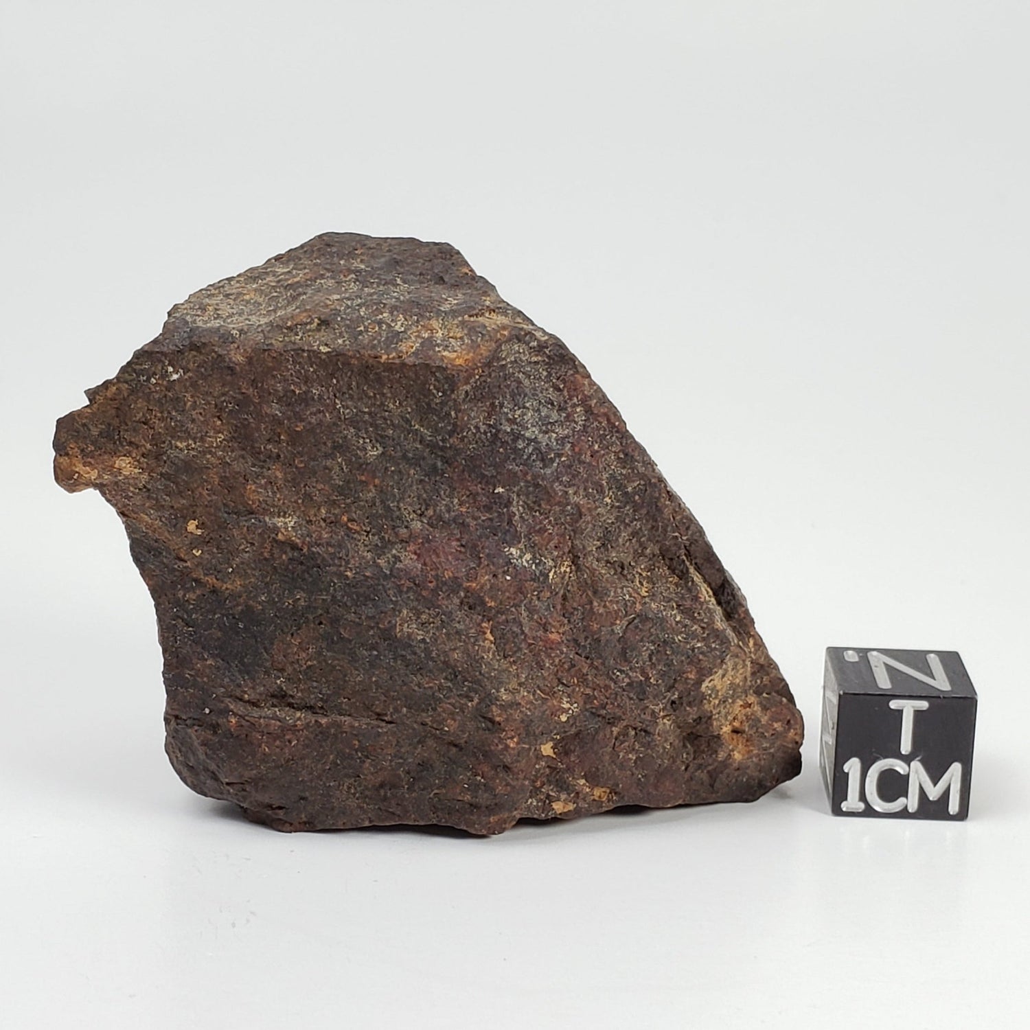 Dhofar 221 Meteorite | 66.8 Grams | Individual | L5 Shocked Chondrite | Sahara | Canagem.com