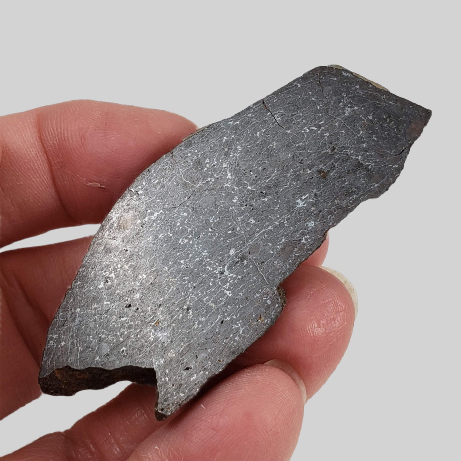 Dhofar 273 Meteorite | 20.4 Grams | Slice | L5 Chondrite | Sahara 2