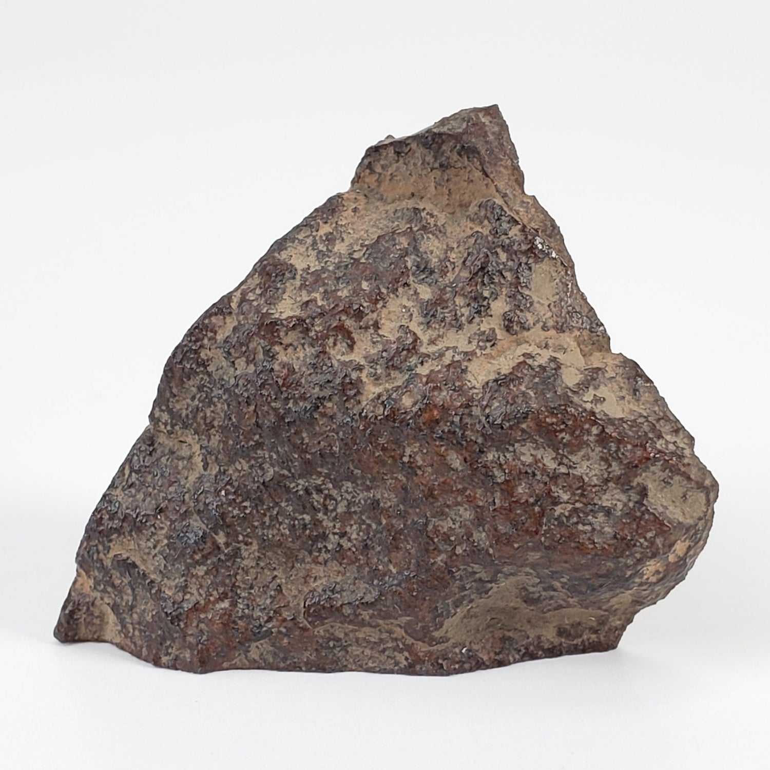 Dhofar 321 Meteorite | 25.6 Grams | Crusted Part End Cut | H4 Chondrite | Sahara