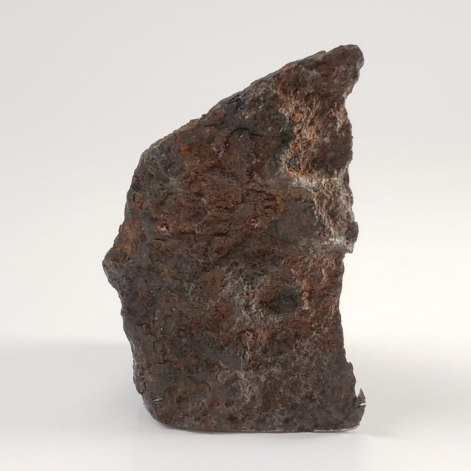Dronino Meteorite | 97 Grams | End Cut | Iron Ataxite Ungrouped | Ryazanskaya oblast', Russia