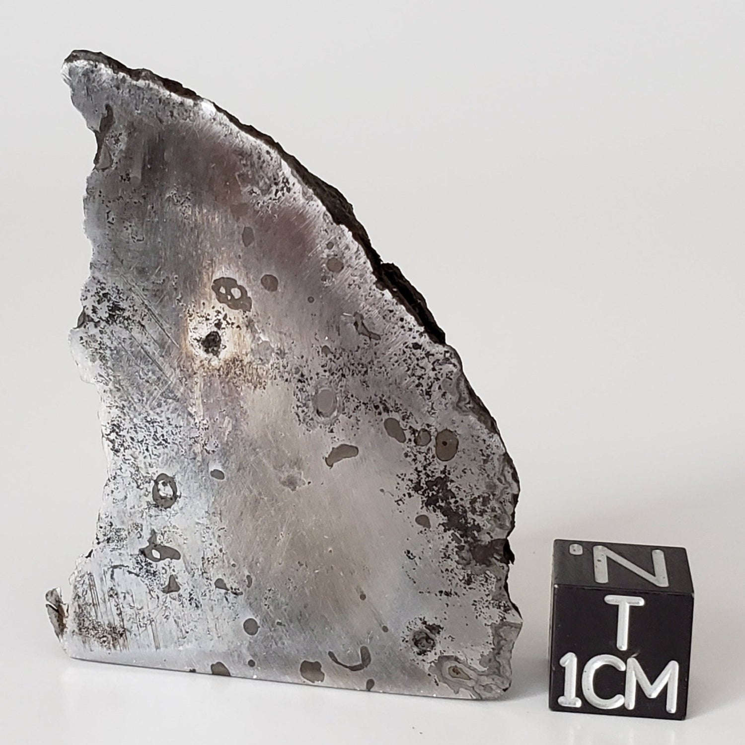 Dronino Meteorite | 97 Grams | End Cut | Iron Ataxite Ungrouped | Ryazanskaya oblast', Russia