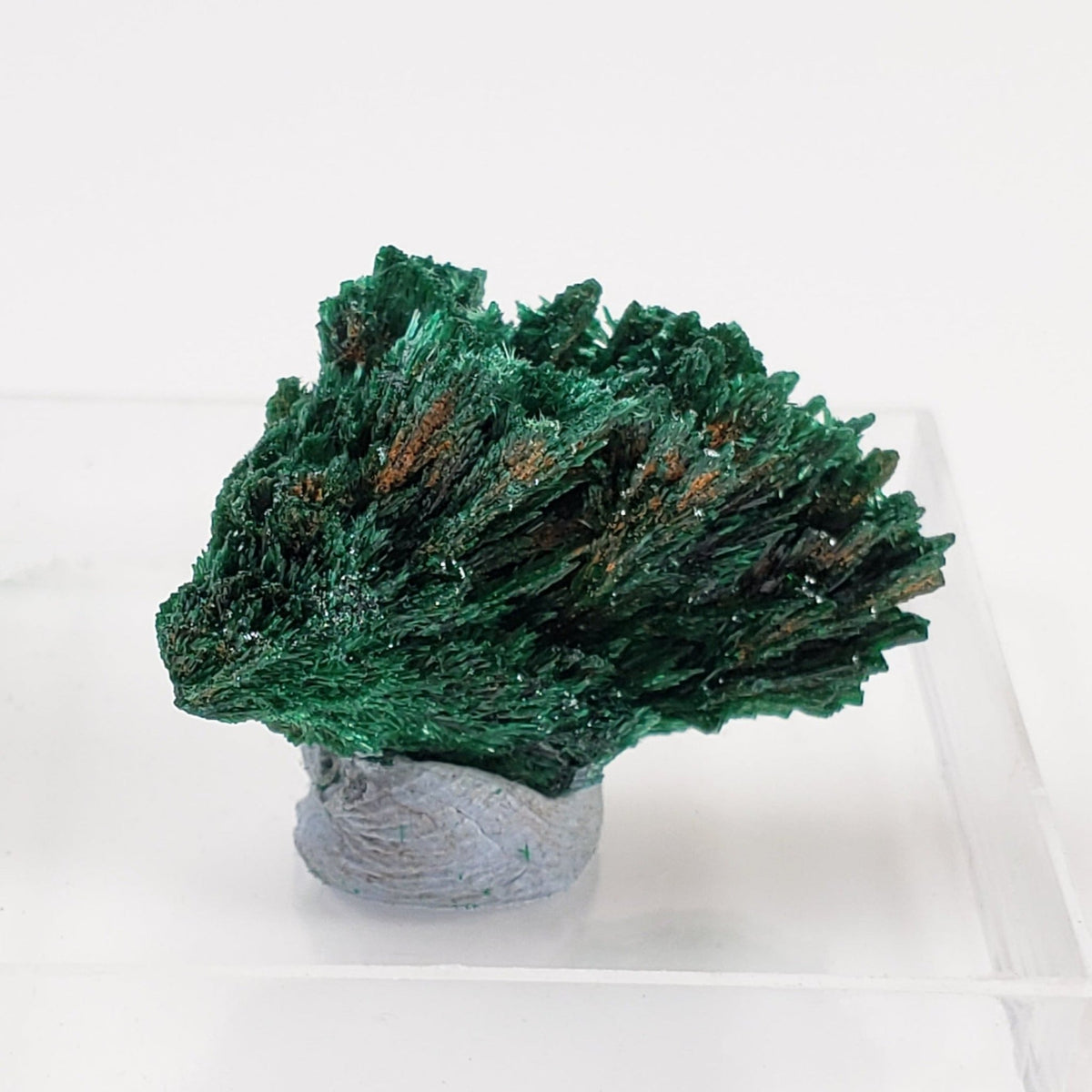   Fibrous Malachite | Perky Box Thumbnail Specimen | Shaba Copper Belt, Congo 