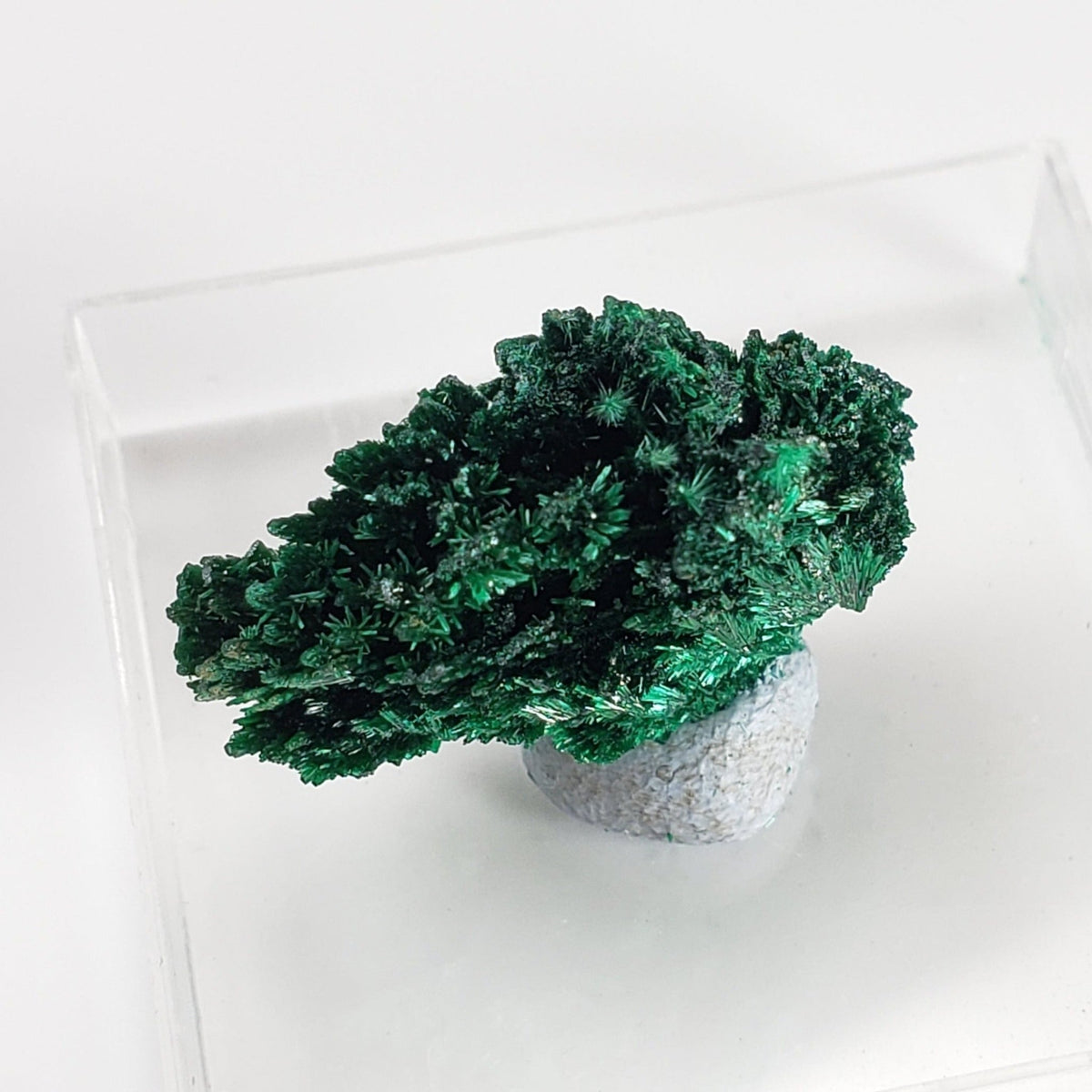   Fibrous Malachite | Perky Box Thumbnail Specimen | Shaba Copper Belt, Congo 