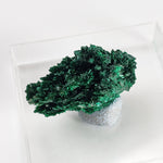   Fibrous Malachite | Perky Box Thumbnail Specimen | Shaba Copper Belt, Congo 