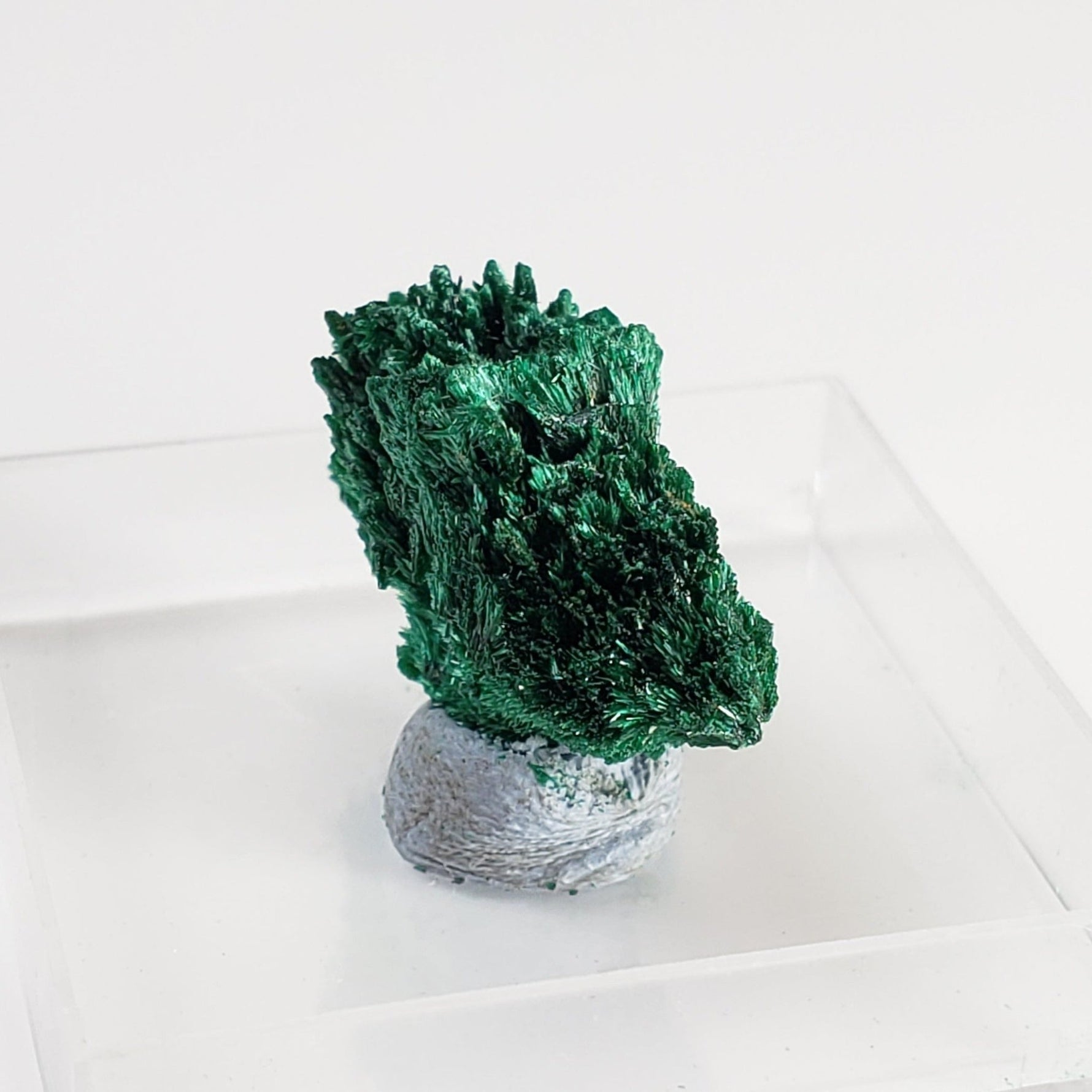   Fibrous Malachite | Perky Box Thumbnail Specimen | Shaba Copper Belt, Congo 