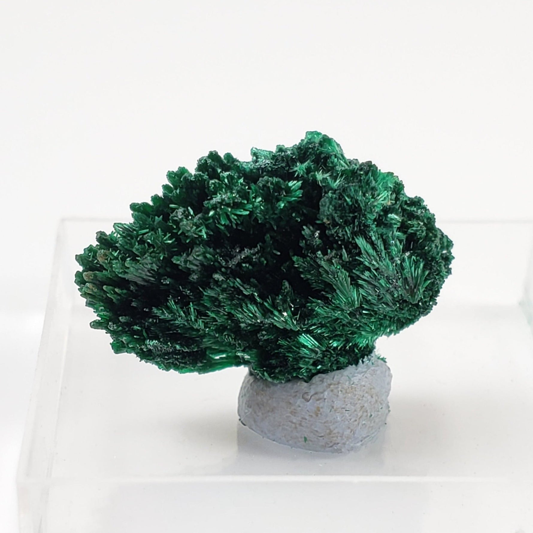   Fibrous Malachite | Perky Box Thumbnail Specimen | Shaba Copper Belt, Congo 