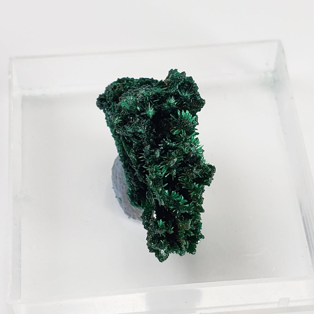   Fibrous Malachite | Perky Box Thumbnail Specimen | Shaba Copper Belt, Congo 