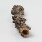 Fulgurite | Natural Lightning Impact Glass | 1.56 Grams | Sahara 2