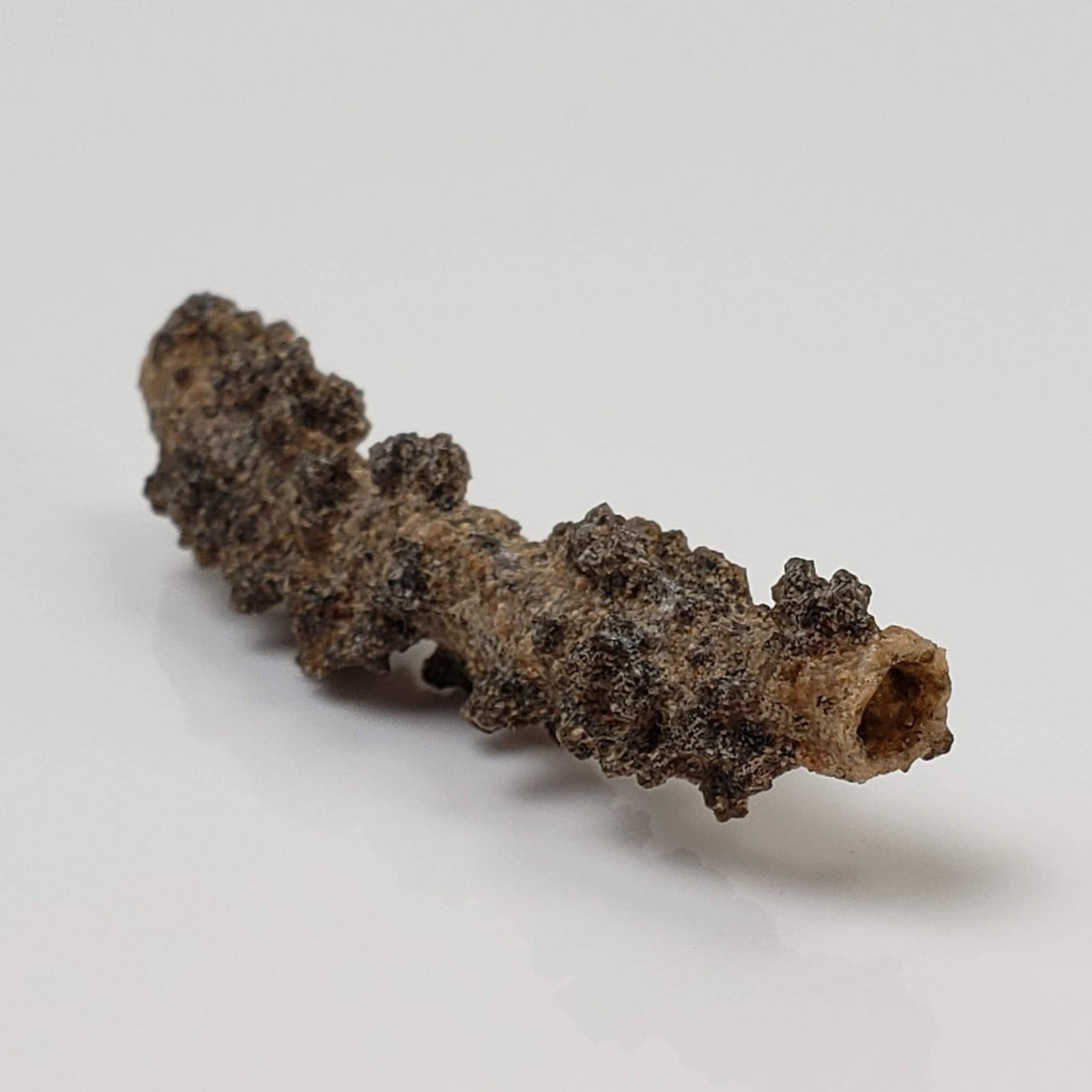 Fulgurite | Natural Lightning Impact Glass | 1.56 Grams | Sahara 3