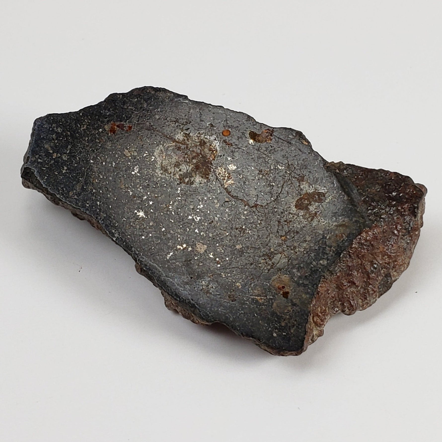 Ghubara Meteorite | 36.12 Gr | End Cut | Rare Stony Black L5 Chondrite | Oman | Canagem.com
