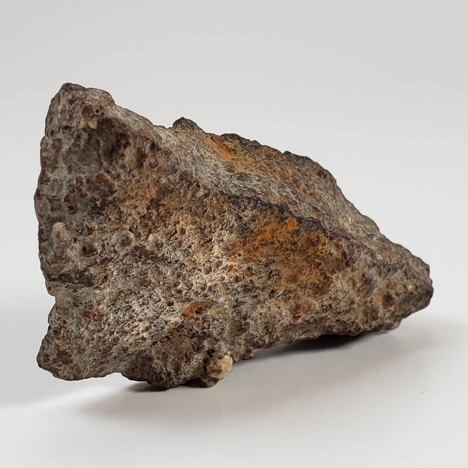 Ghubara Meteorite | 36.12 Gr | End Cut | Rare Stony Black L5 Chondrite | Oman