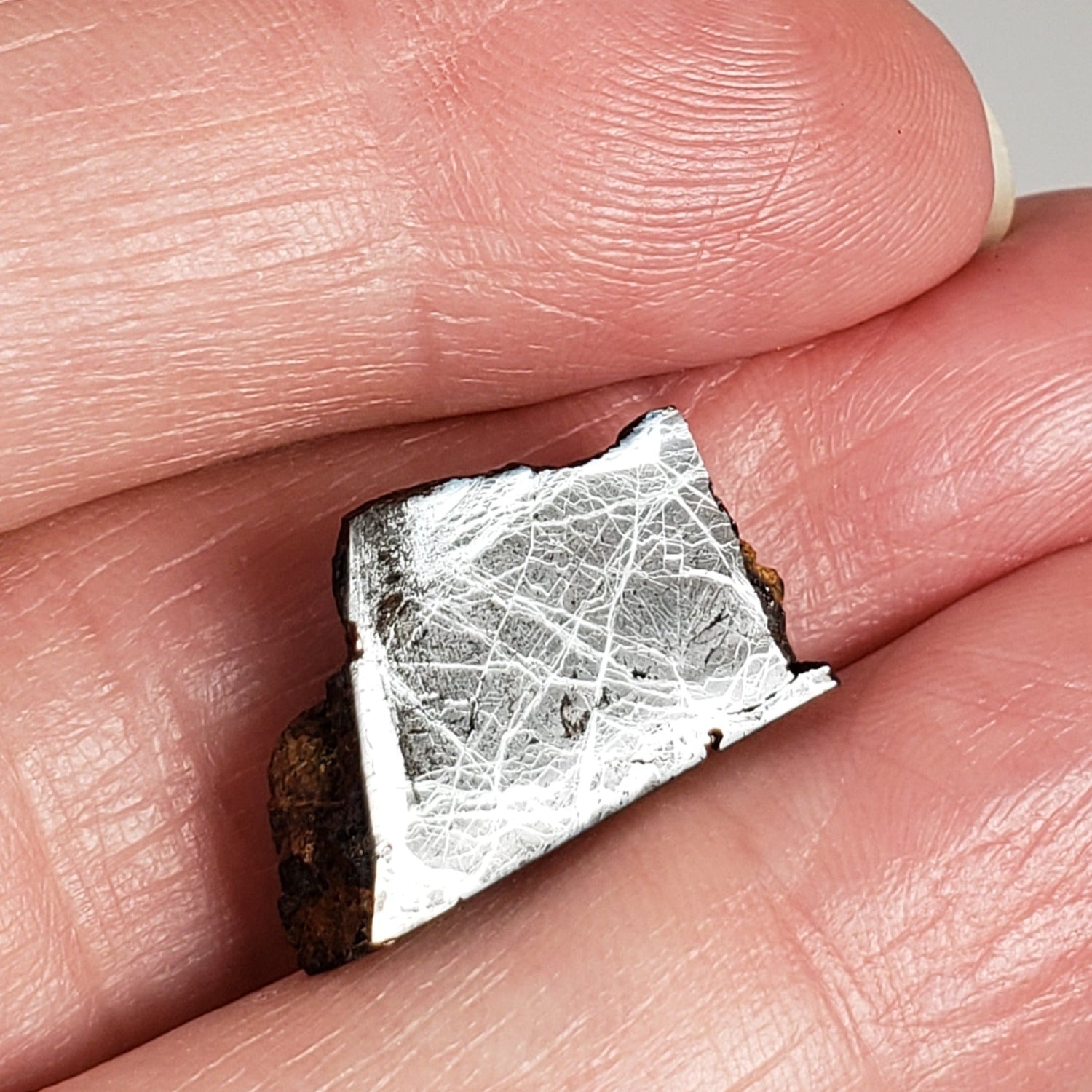 Huckitta Meteorite | 2.84 Grams | Part End Cut | Pallasite Stony Iron | Rare | Australia | Canagem.com