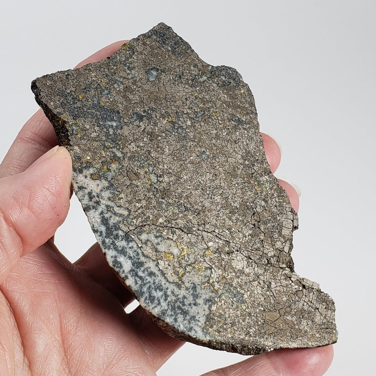   Impact Breccia | Part Slice | 222.8 Grams | Metal Rich Impactite | Sudbury Structure, Canada 