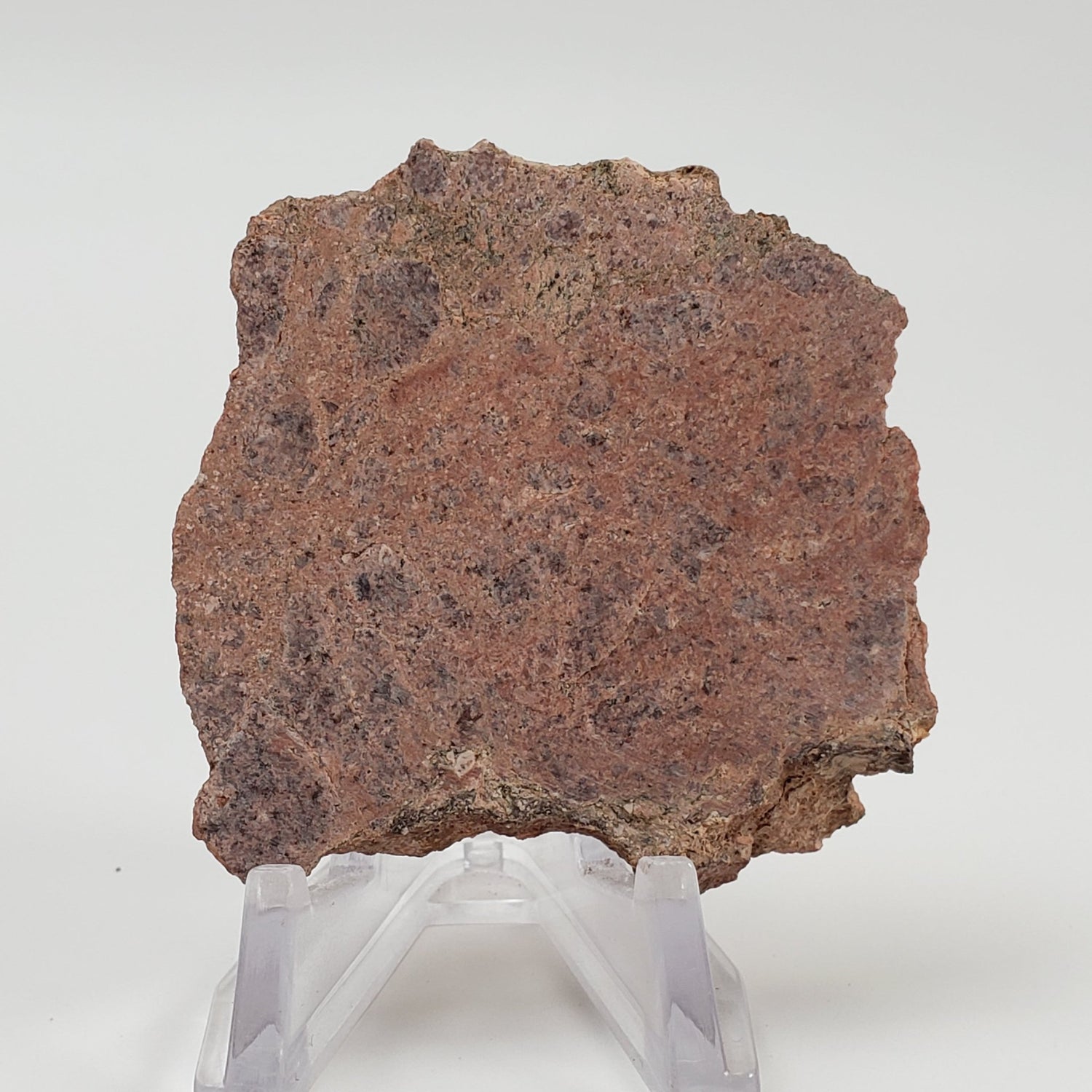   Impact Melt Rock | 40.7 grams | Dhala Impact Structure | 3rd Oldest Impact | India 