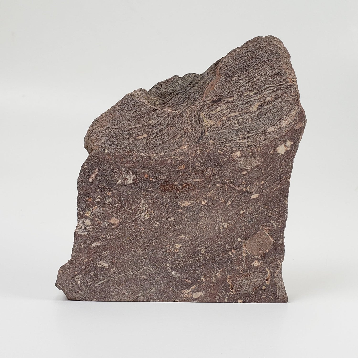   Impactite Breccia Suevite | 130 Grams | Rochechouart Structure, France 