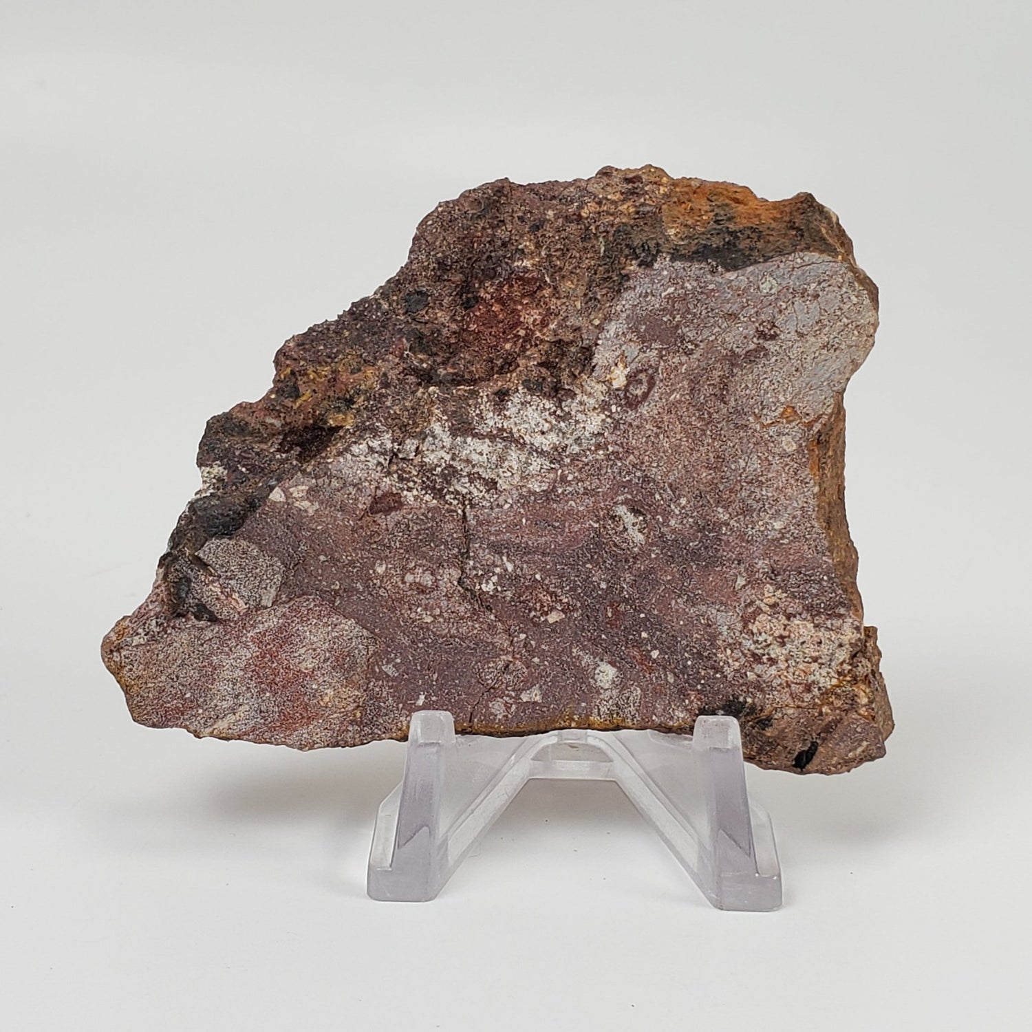   Impactite Breccia Suevite | 51.4 Grams | Rochechouart Structure, France 