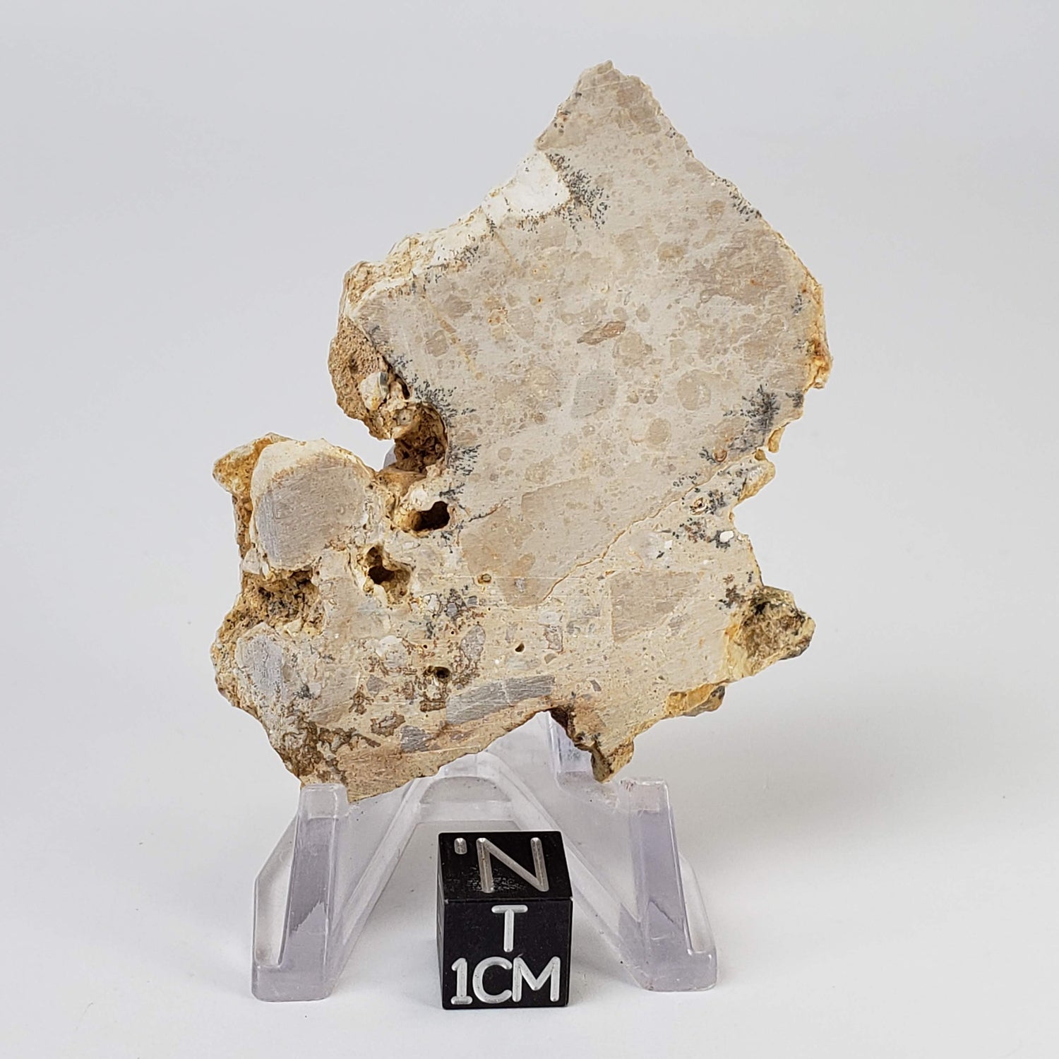 Impactite Fallback Breccia | Steinheim Basin Impact Structure | 33.3 grams | Slice | Ries, Germany 1