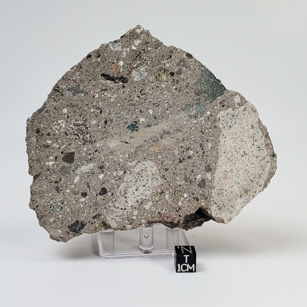   Impactite Melt Breccia Suevite | 506.7 grams | Ries Zipplingen, Germany 