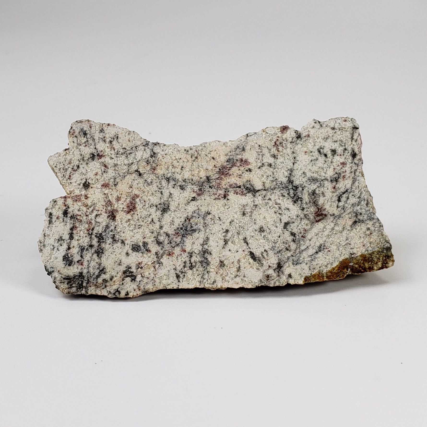 Impactite Melt Breccia Suevite | Alte Bürg Quarry | 28.3 Grams | Ries Crater, Germany | SO24