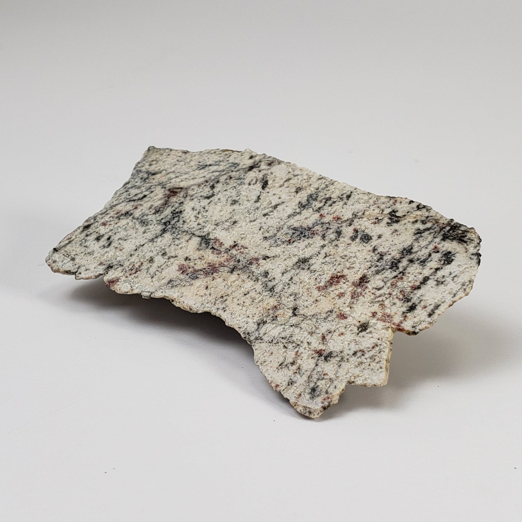 Impactite Melt Breccia Suevite | Alte Bürg Quarry | 28.3 Grams | Ries Crater, Germany | SO24