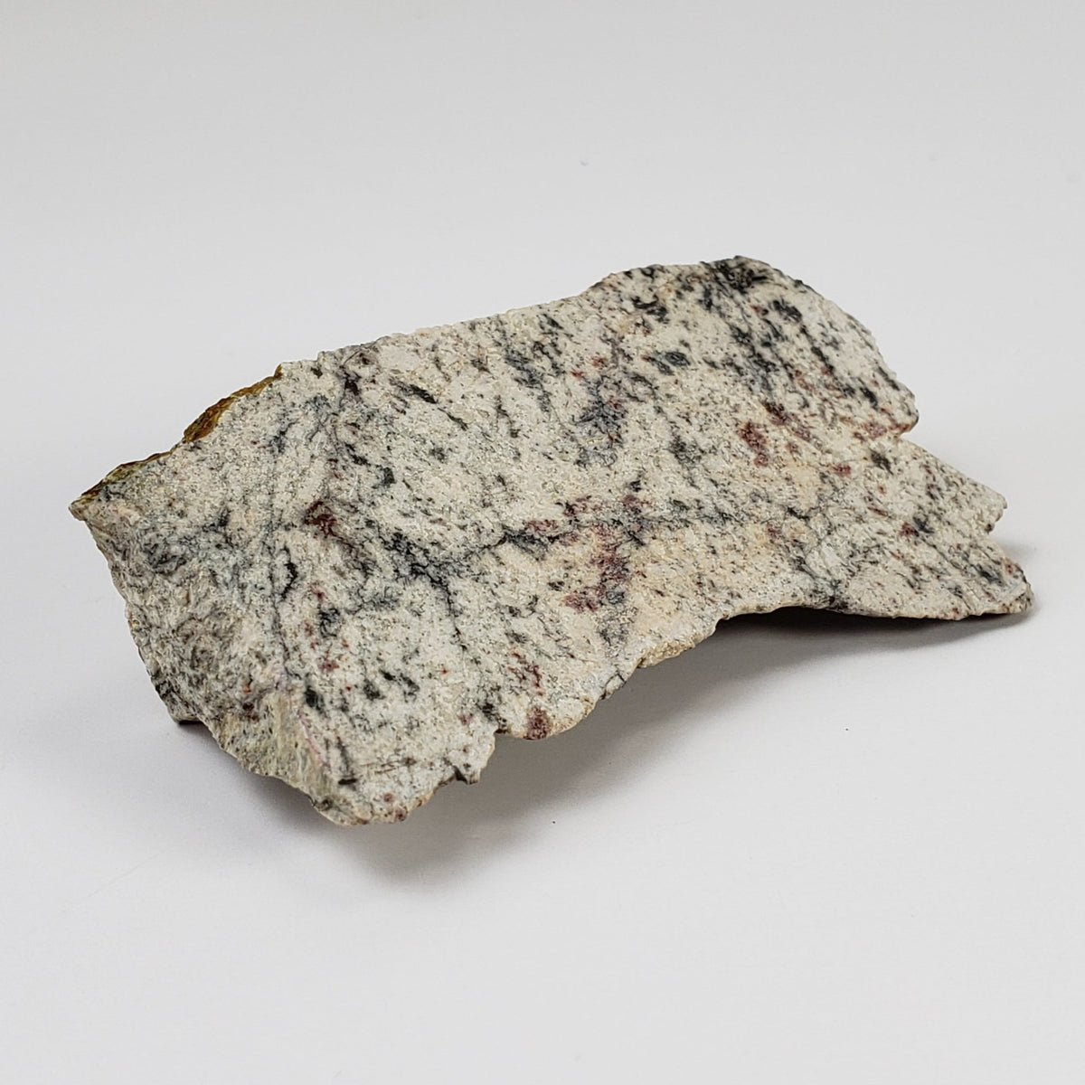 Impactite Melt Breccia Suevite | Alte Bürg Quarry | 28.3 Grams | Ries Crater, Germany | SO24