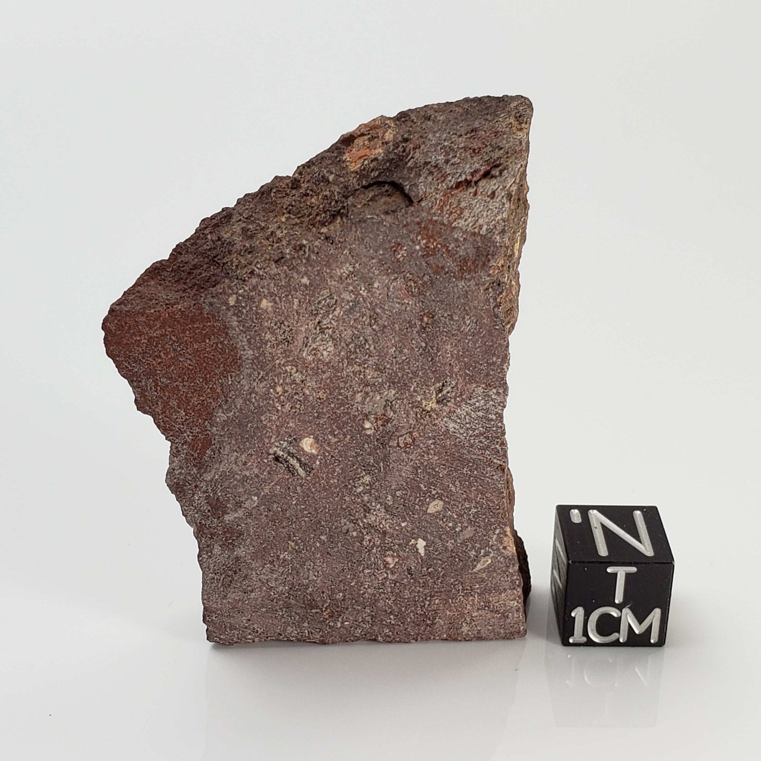   Impactite Melt Rock | 30.89 Grams | Babaudus Impactite, France | Rochechouart Structure 