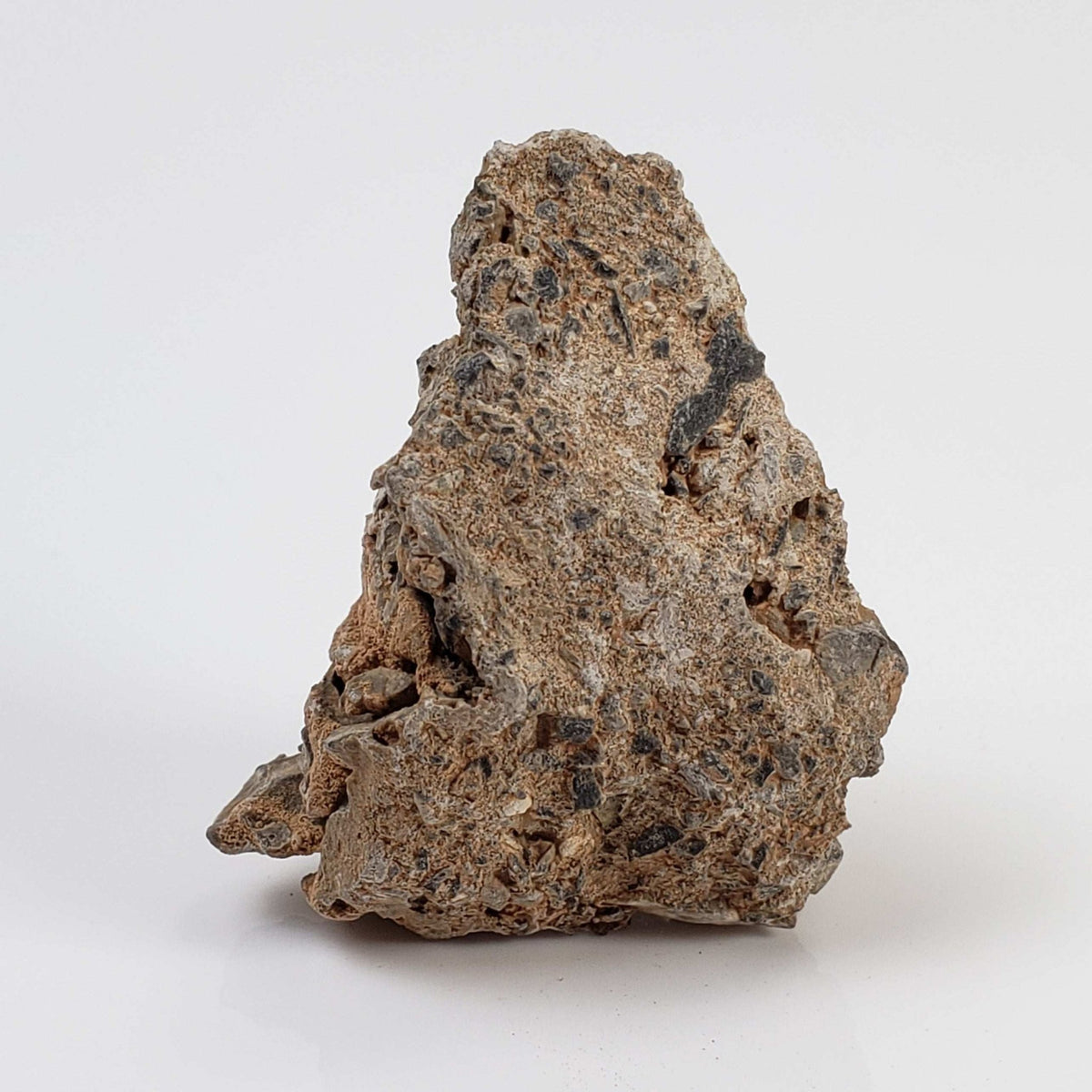   Impactite Monomict Breccia | 15.4 grams | Agoudal, Imilchil Structure | Morocco 