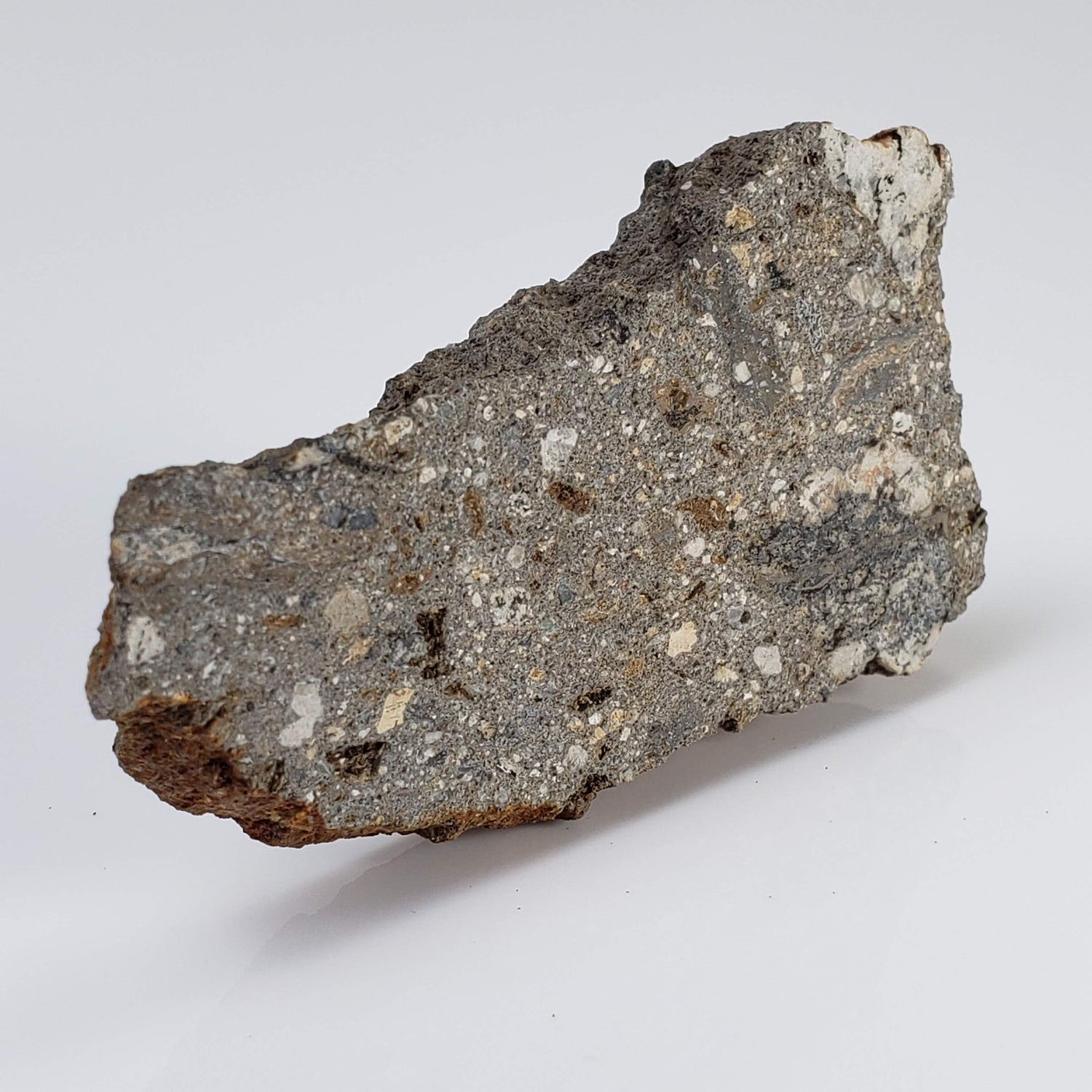 Impactite Suevite | 20.3 grams | Norrbo, Sweden 2