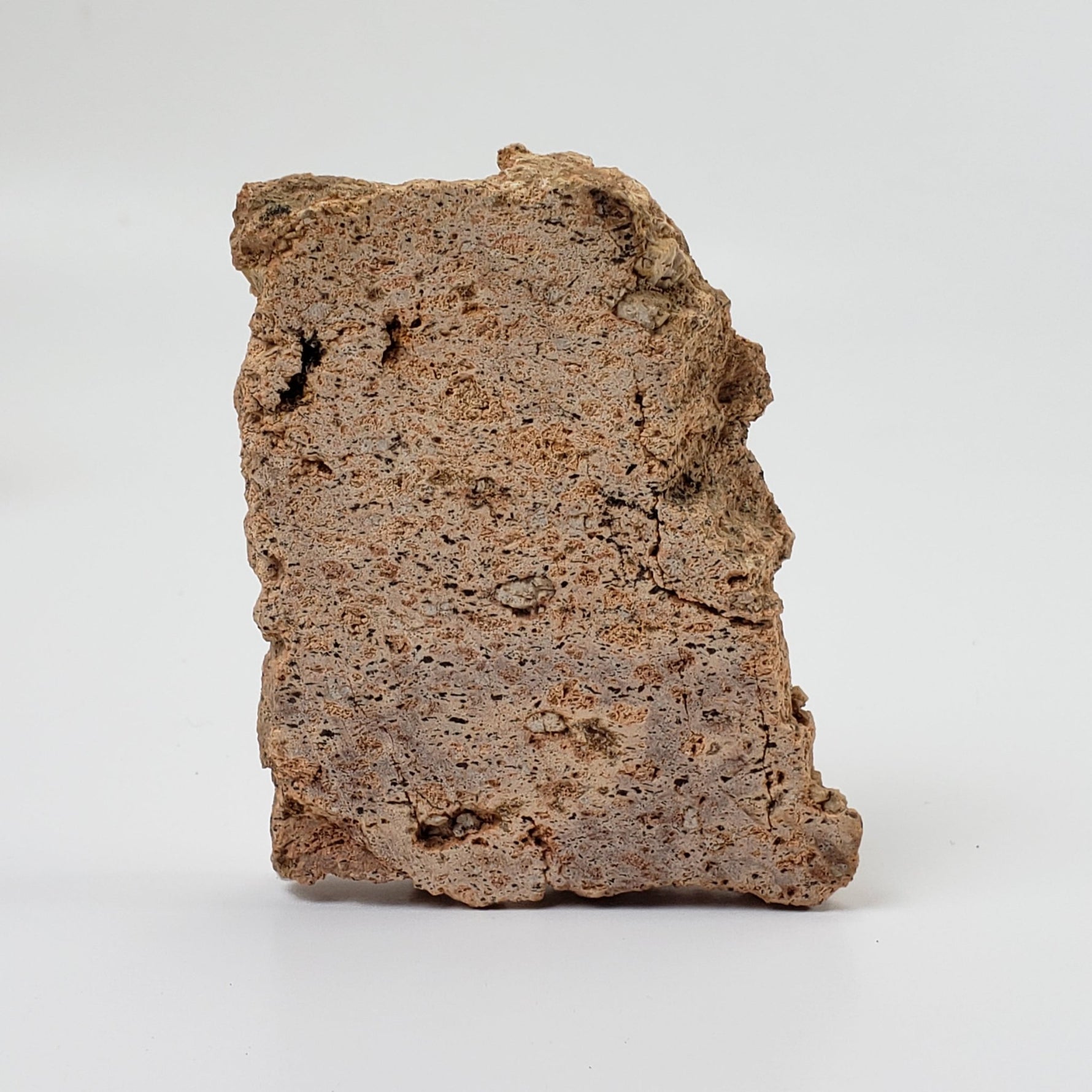   Impactite Vesicular Breccia Suevite | 54 Grams | La Valette, France | Rochechouart Structure 