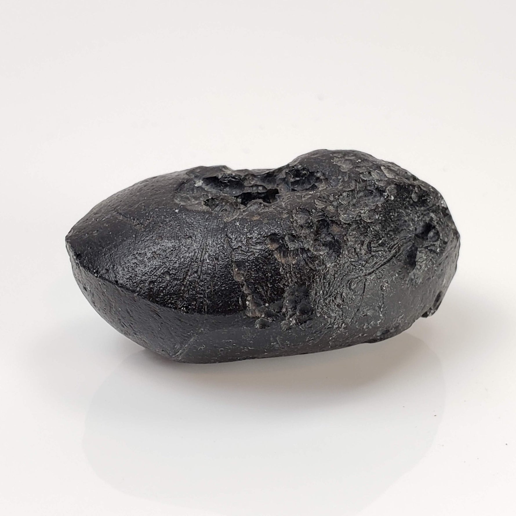 Indochinite Tektite | 38.8 Grams | Impactite 8