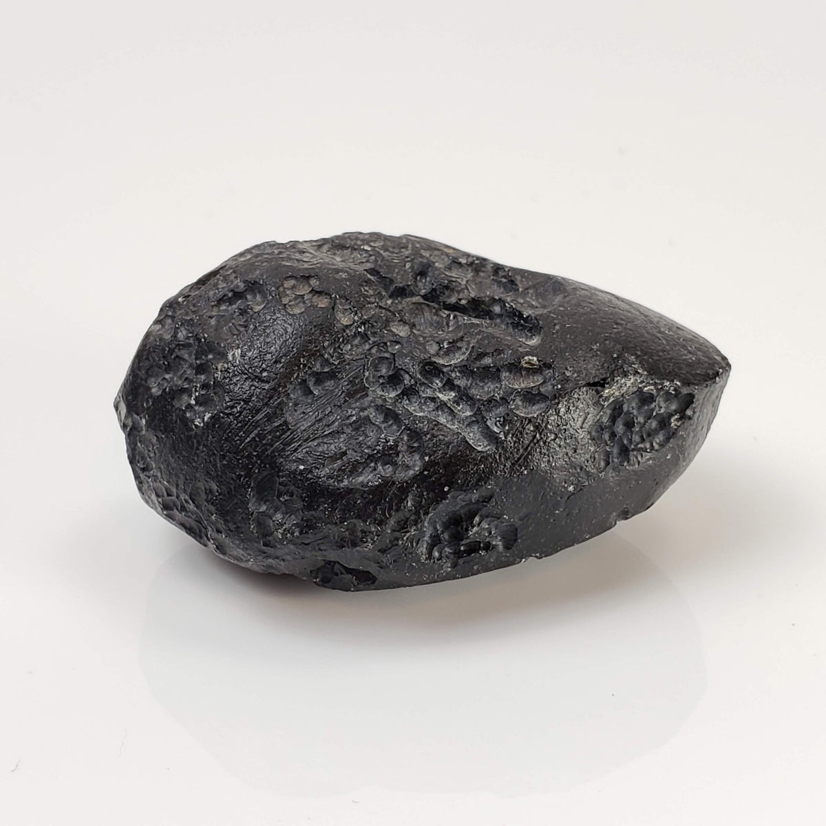 Indochinite Tektite | 38.8 Grams | Impactite 7