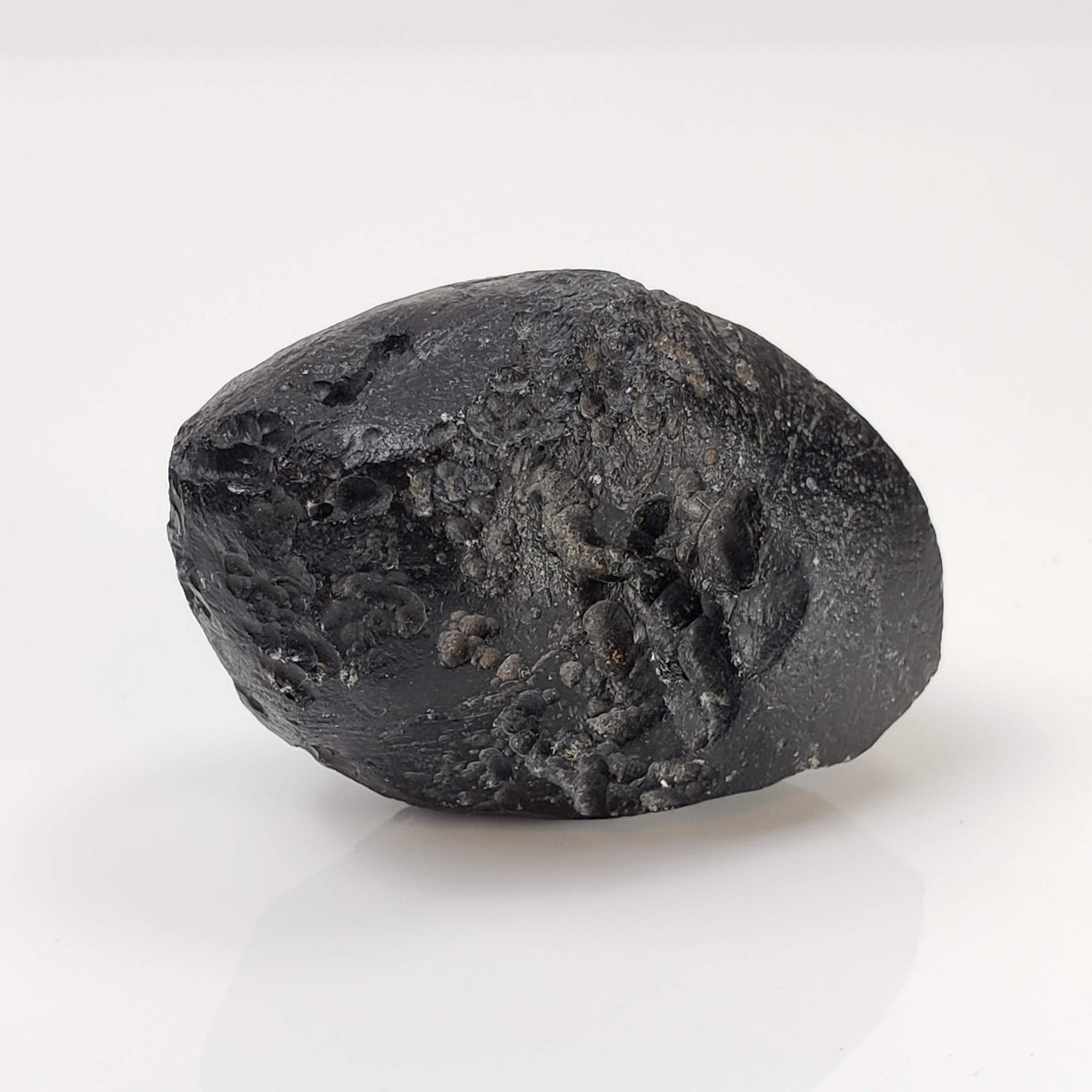 Indochinite Tektite | 38.8 Grams | Impactite 3