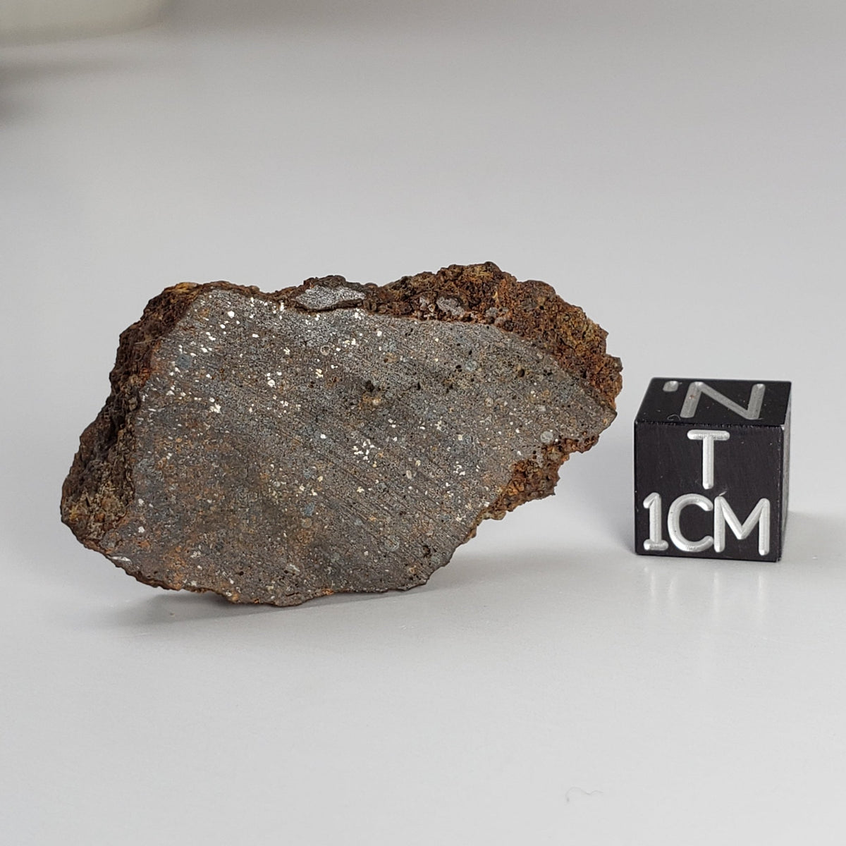 Korra Korrabes Meteorite | 11.1 Gr | Slice | H3 | Gibeon Strewnfield | Namaland, Namibia | Canagem.com