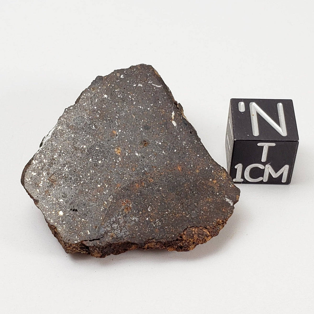   Korra Korrabes Meteorite | 15 Gr | End Cut | H3 | Gibeon Strewnfield, Namaland, Namibia 