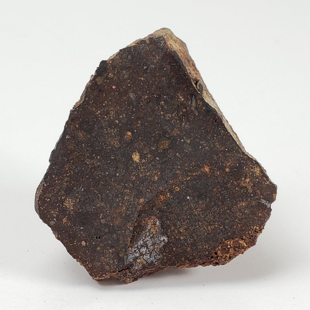   Korra Korrabes Meteorite | 15 Gr | End Cut | H3 | Gibeon Strewnfield, Namaland, Namibia 