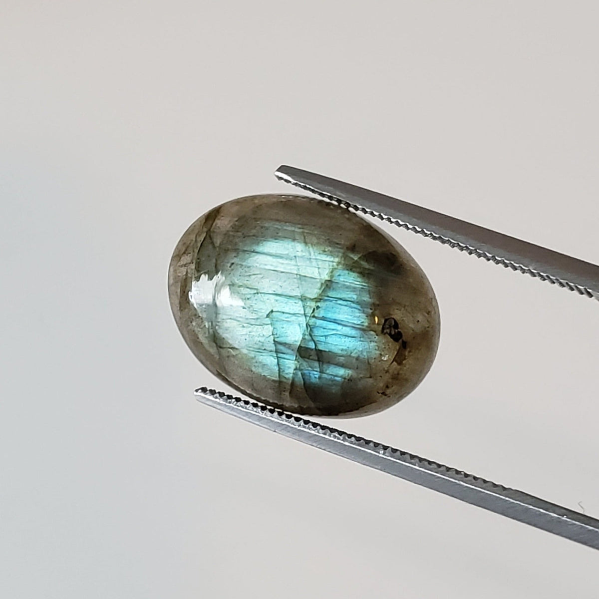 Labradorite | Oval Cabochon | Natural Gray Rainbow | 15.9x12mm 8.1ct