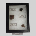 Meteorite-in-a-Box Mini World Collection Trio | Nantan, NWA 4293 and Vaca Muerta 1