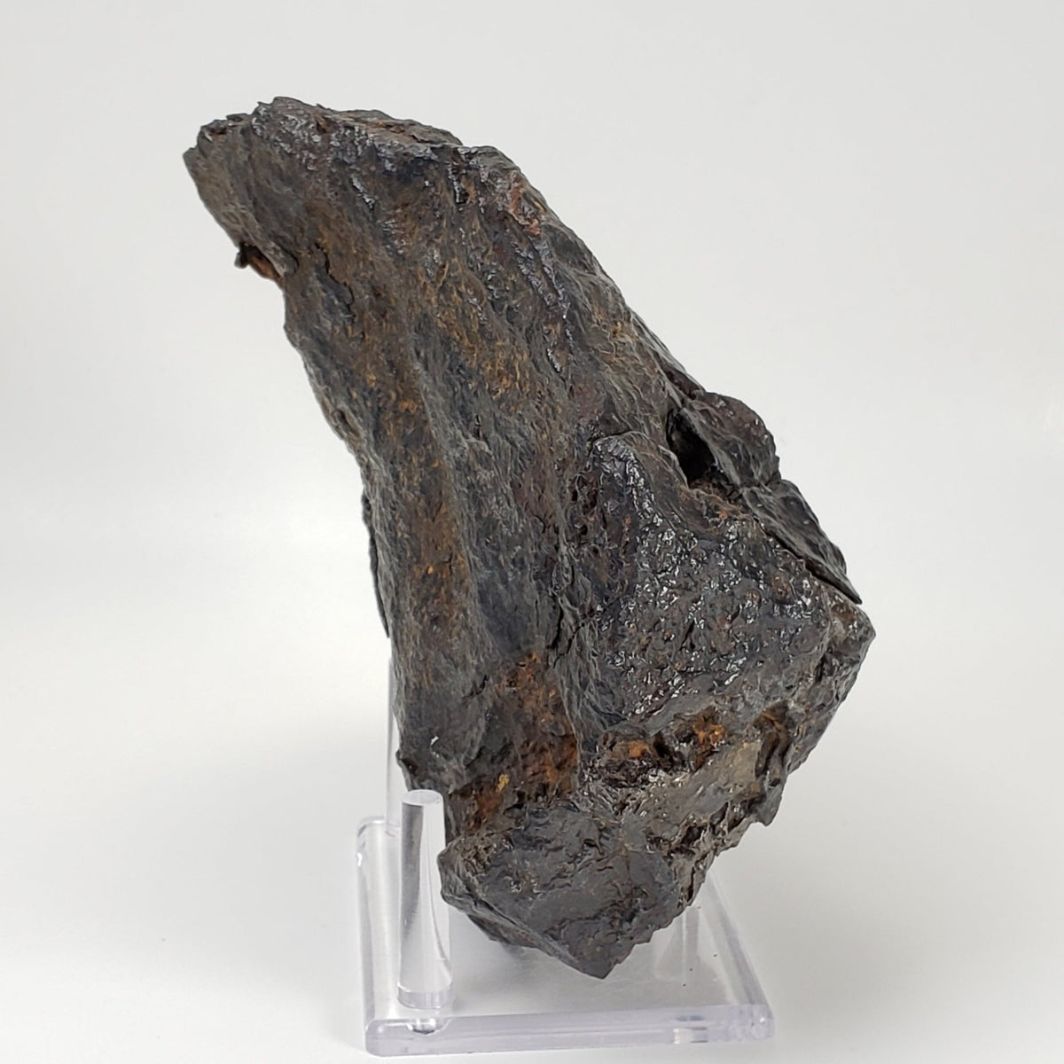 Nantan Meteorite | 4.288 KG | IAB-MG Iron | Guangxi China
