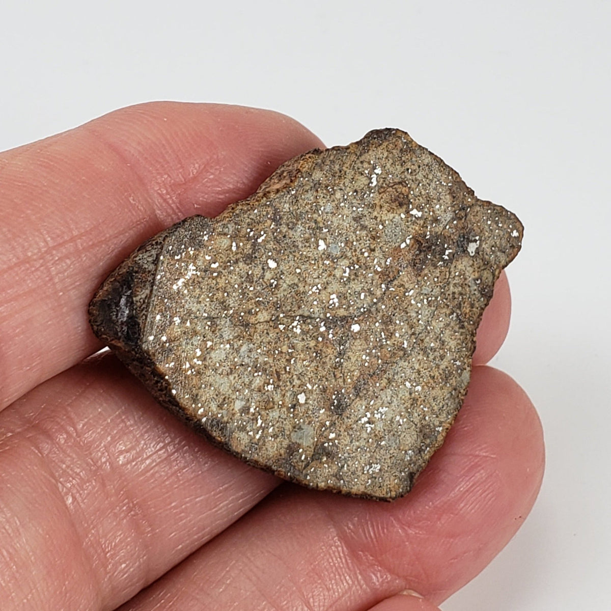   Northwest Africa NWA Meteorite | 10.56 Grams | Slice | Sahara 