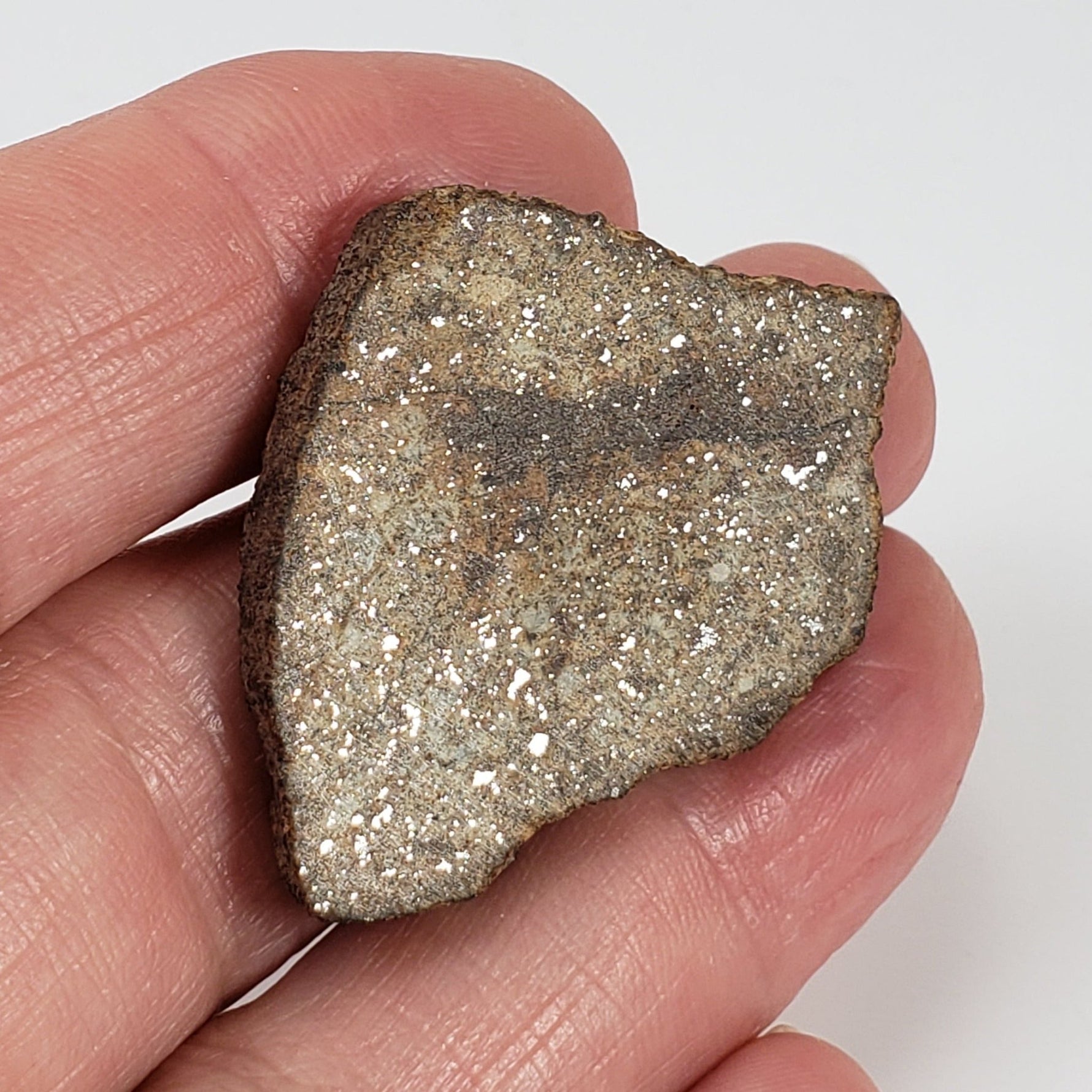   Northwest Africa NWA Meteorite | 10.56 Grams | Slice | Sahara 