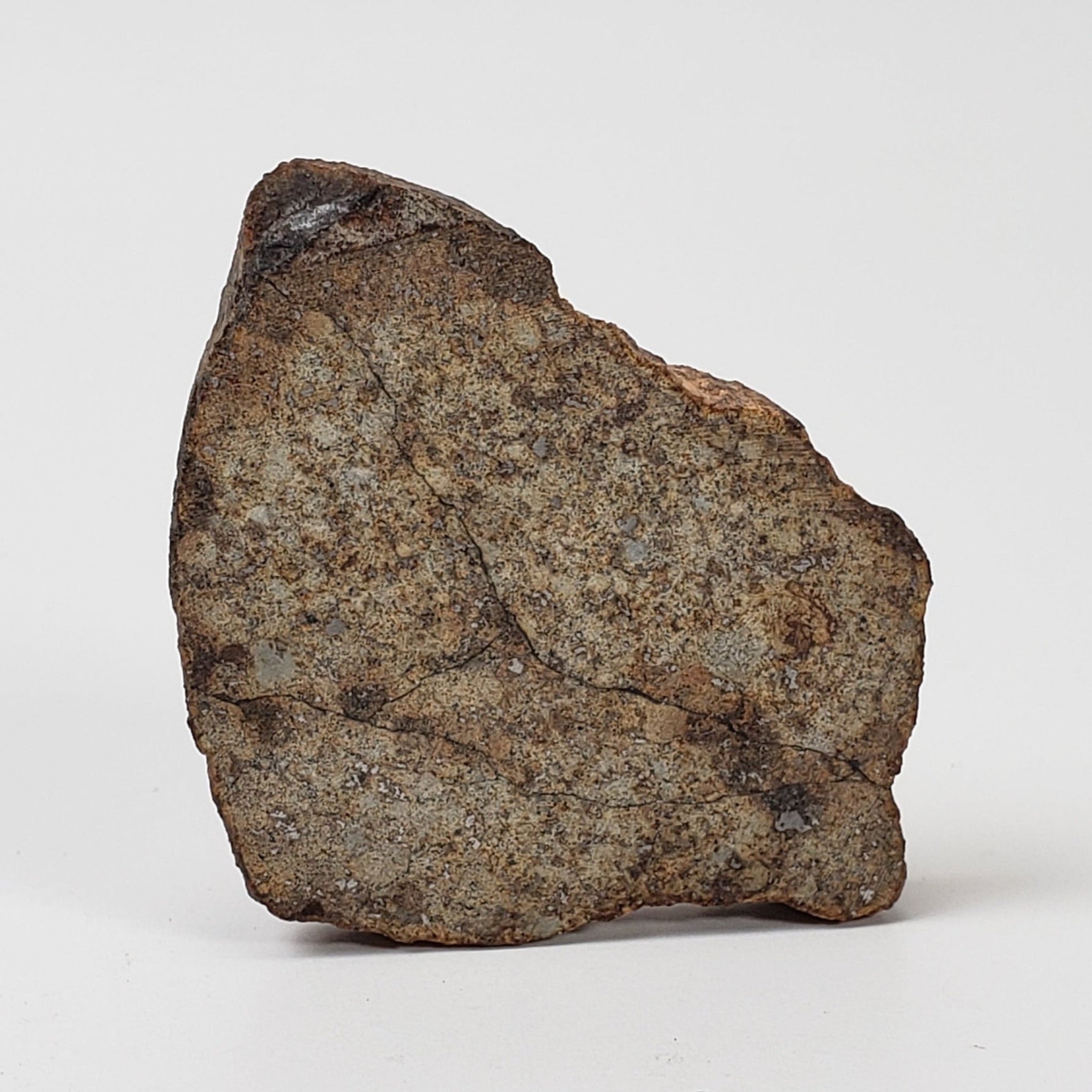   Northwest Africa NWA Meteorite | 10.56 Grams | Slice | Sahara 