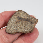   Northwest Africa NWA Meteorite | 10.56 Grams | Slice | Sahara 