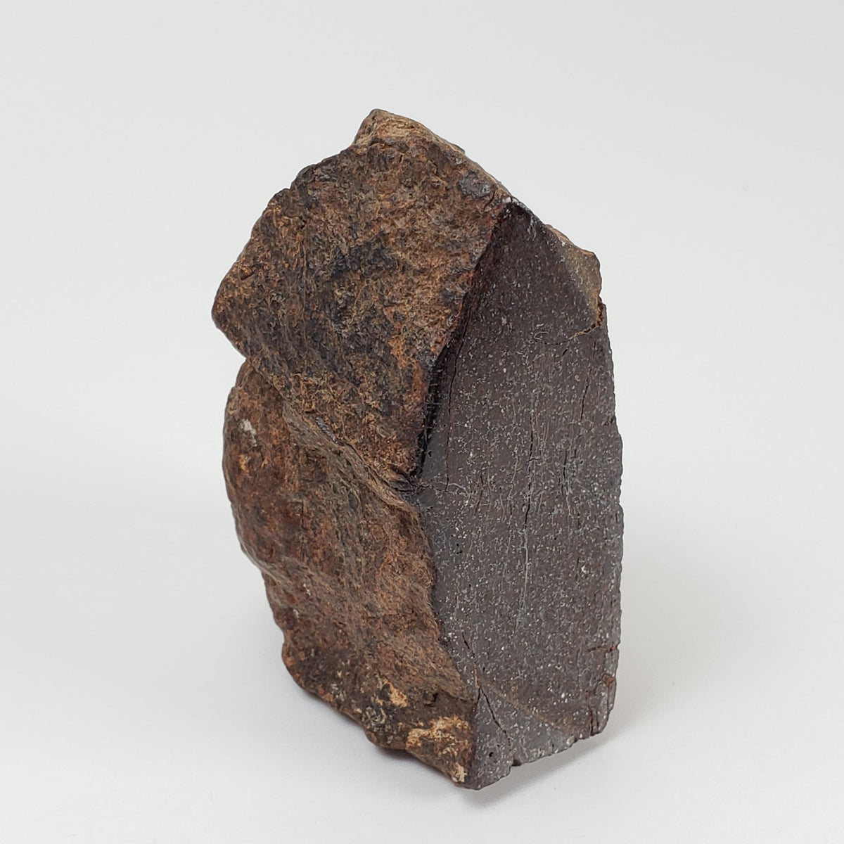   Northwest Africa NWA Meteorite | 110.2 Grams | End Cut | Sahara 