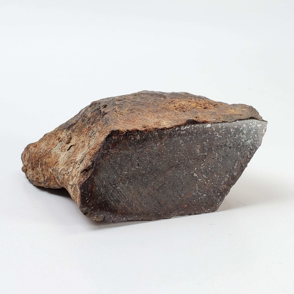   Northwest Africa NWA Meteorite | 114 Grams | Individual Cut Fragment | Sahara 