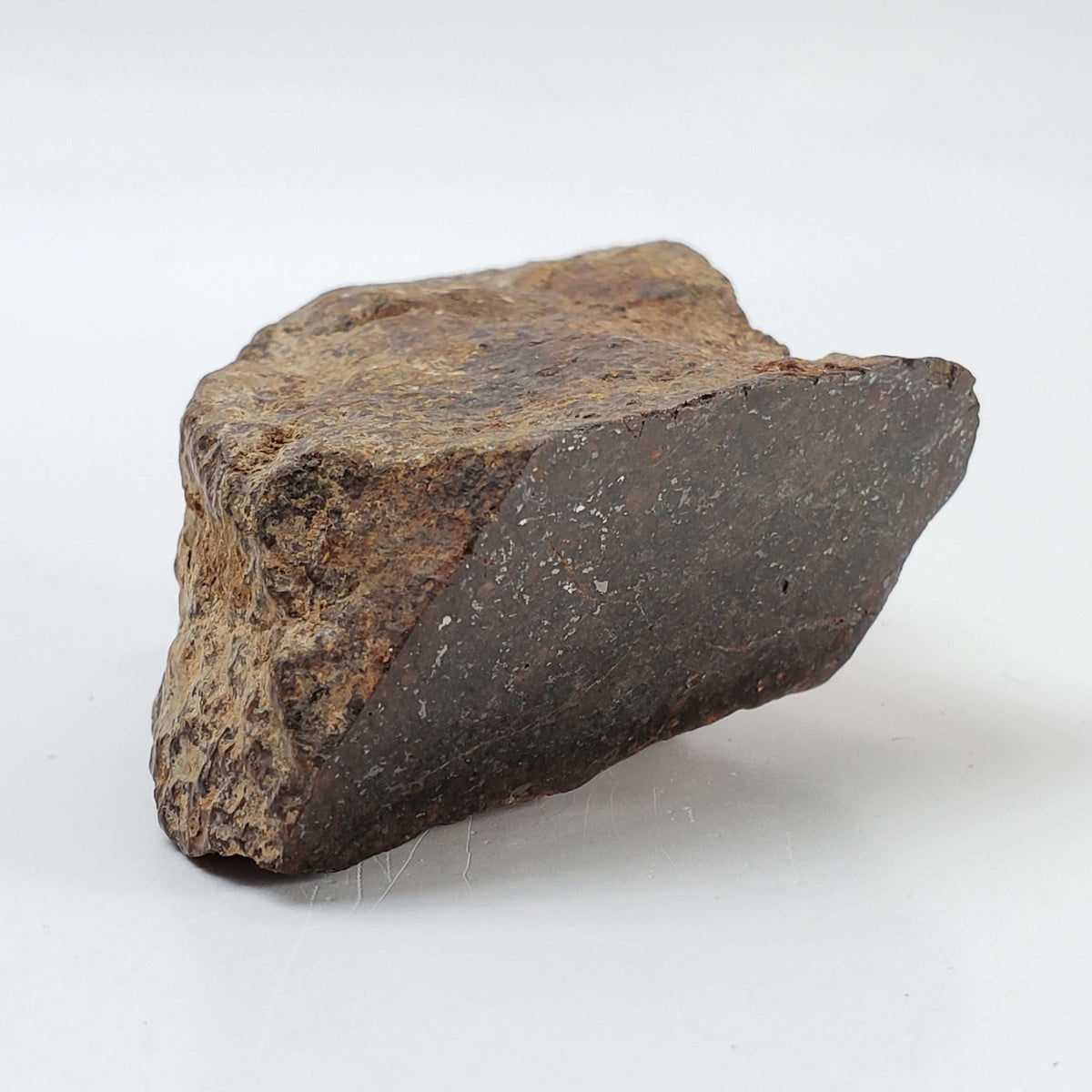   Northwest Africa NWA Meteorite | 114 Grams | Individual Cut Fragment | Sahara 