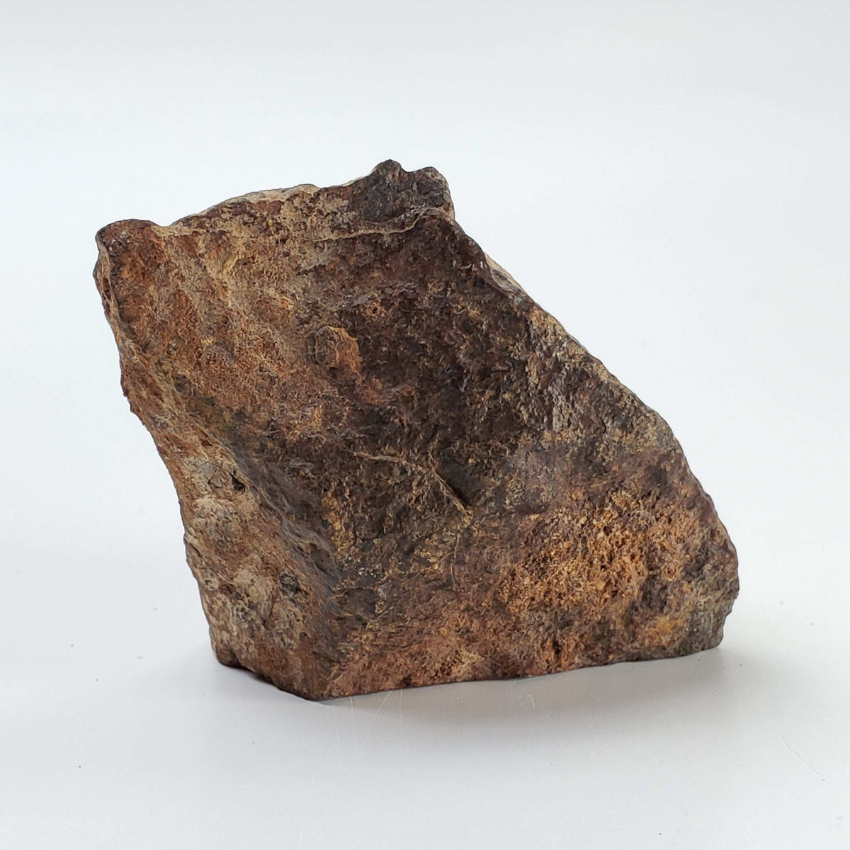   Northwest Africa NWA Meteorite | 114 Grams | Individual Cut Fragment | Sahara 