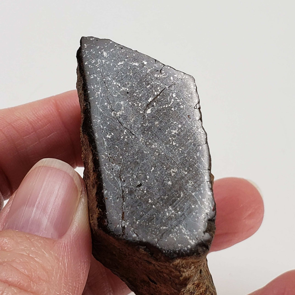   Northwest Africa NWA Meteorite | 114 Grams | Individual Cut Fragment | Sahara 