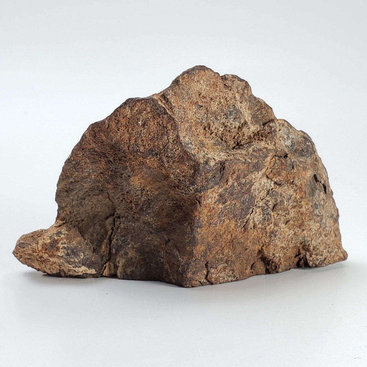   Northwest Africa NWA Meteorite | 184.3 Grams | Individual Cut Fragment | Sahara 