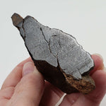   Northwest Africa NWA Meteorite | 184.3 Grams | Individual Cut Fragment | Sahara 