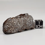 Northwest Africa NWA Meteorite | 23.6 Grams | End Cut | Sahara